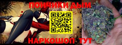индика Гагарин