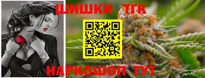 дмт Гай