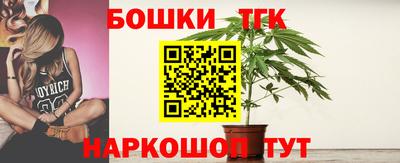 дмт Гай