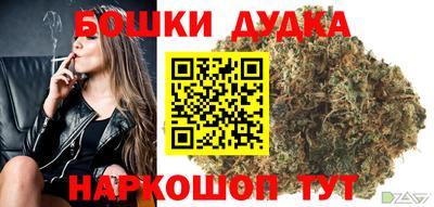 дмт Гай