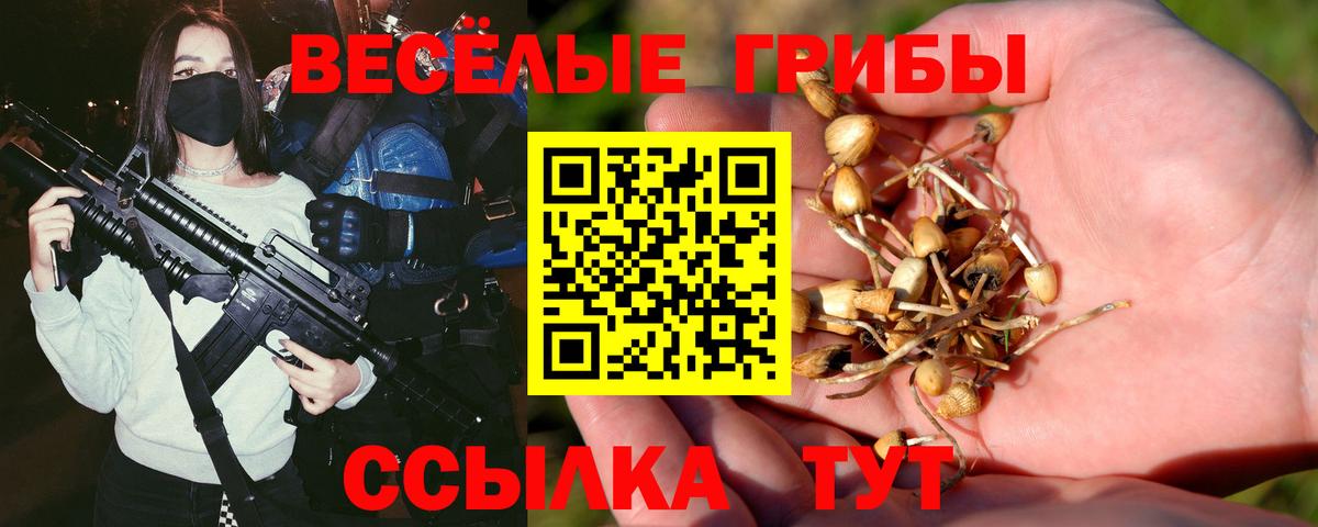 Галлюциногенные грибы Psilocybine cubensis Кумертау